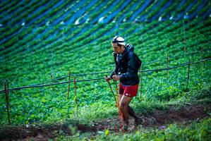 BIB: 
                            <button type="button" onclick="openModal(19160173)" class="btn btn-primary btn-sm float-right btn-popup" data-toggle="modal" data-target=".modal-high-quality">
                        <i class="fas fa-shopping-cart"></i> Add to Cart
                    </button>
                                            <button type="button" onclick="isThisMe(19160173, true)" class="btn btn-success btn-sm float-right btn-popup btn-isme hidden" data-toggle="tooltip" data-placement="bottom" title="นี่คือรูปของคุณใช่ไหม คลิกที่นี่เพื่อเอาเข้าอัลบั้ม">
                        <i class="fas fa-plus"></i> Add to album
                    </button>
                    <button type="button" onclick="isThisMe(19160173, false)" class="btn btn-warning btn-sm float-right btn-popup btn-isnotme hidden">
                        <i class="fas fa-ban"></i> Remove from album
                    </button>